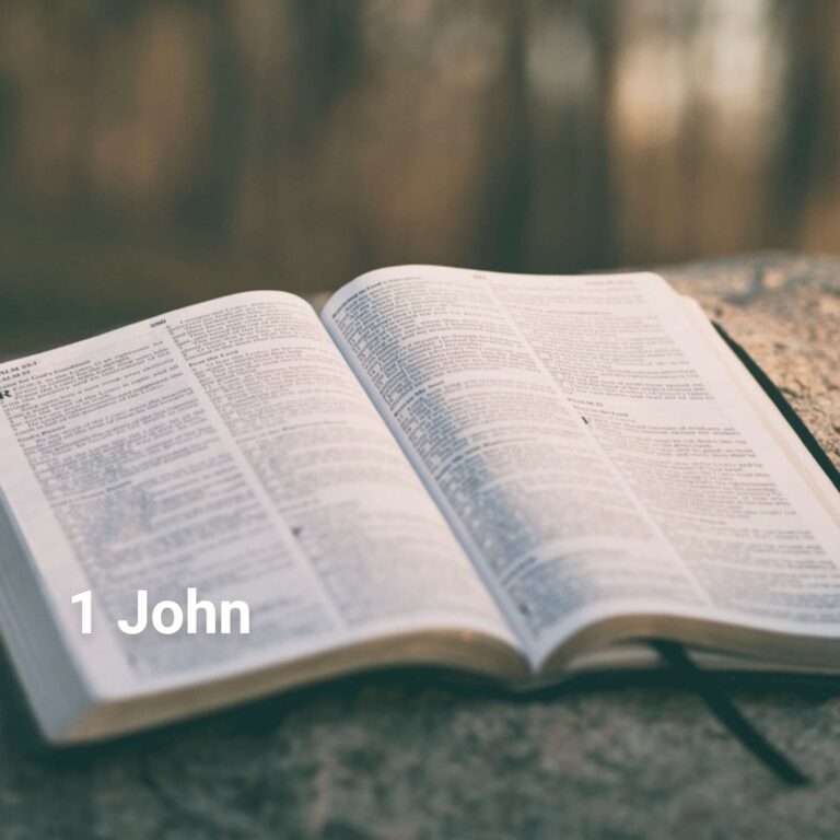 1 John Lesson 4