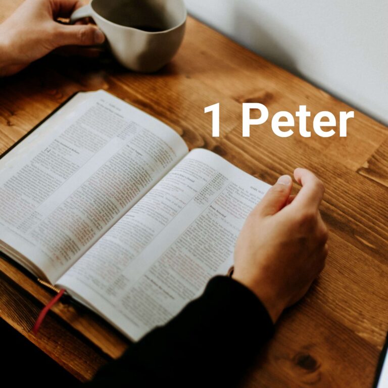 1 Peter Lesson 4